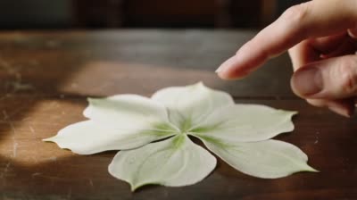 平面花艺幻化3D:指尖魔法般的视觉盛宴
