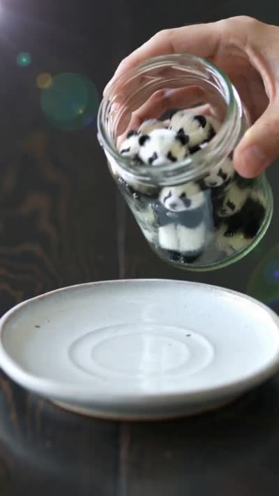 超现实萌宠倾泻:第一人称微型小熊猫奇遇视频