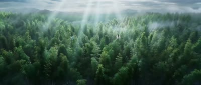 电影级竹林武侠对决:东方美学视觉盛宴