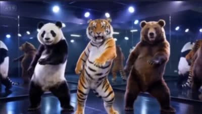 萌兽女团韩舞卡点炸裂!熊猫老虎熊跳女团舞