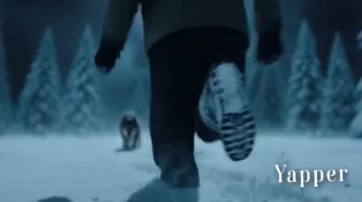 北欧雪夜惊魂:狼群追逐与牧羊犬救援