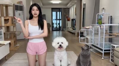 宠物演员排练记:演员的自我修养爆笑短视频脚本