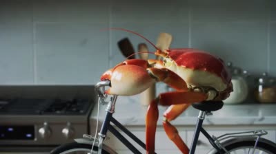 爆笑！懒人梭子蟹自蒸指南