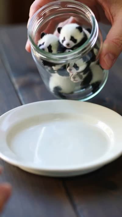 超现实视频:玻璃罐倾泻迷你熊猫