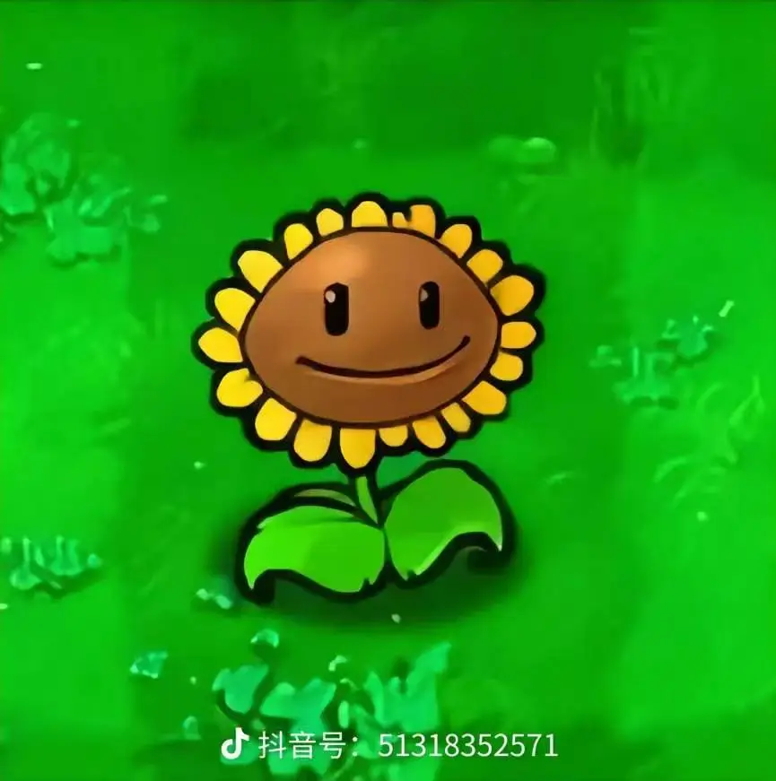 植物大战僵尸|584b370e4dcfa541320e51a00b86d0ca
