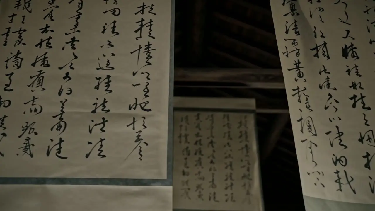 《八大山人》｜视频节点 11