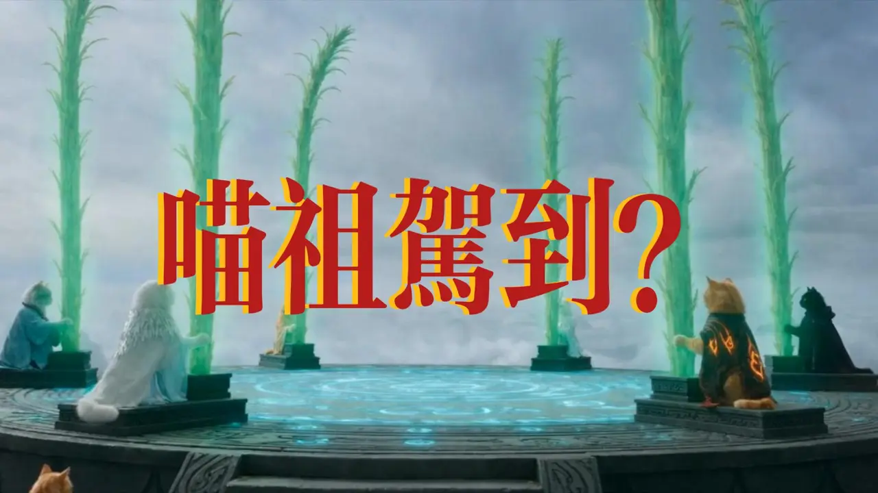 喵祖驾到?