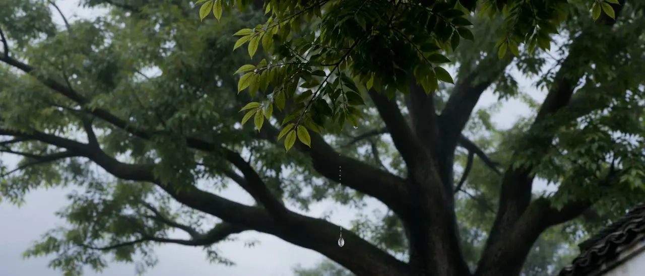 《欺天大圣》AI大制作：孙大圣不做斗战胜佛了，跑到凡间煮面条｜视频节点 1