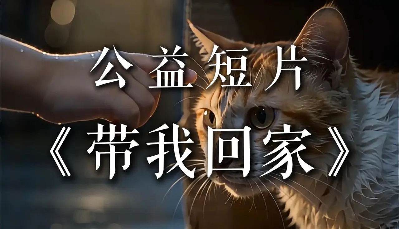 公益短片:带我回家