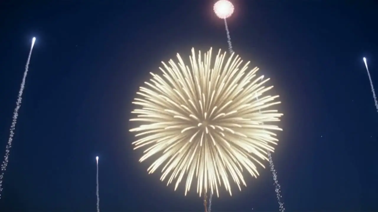 回家｜视频节点 2