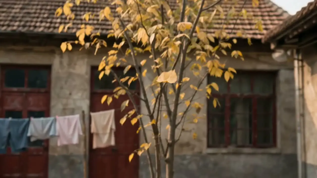 回家｜视频节点 8