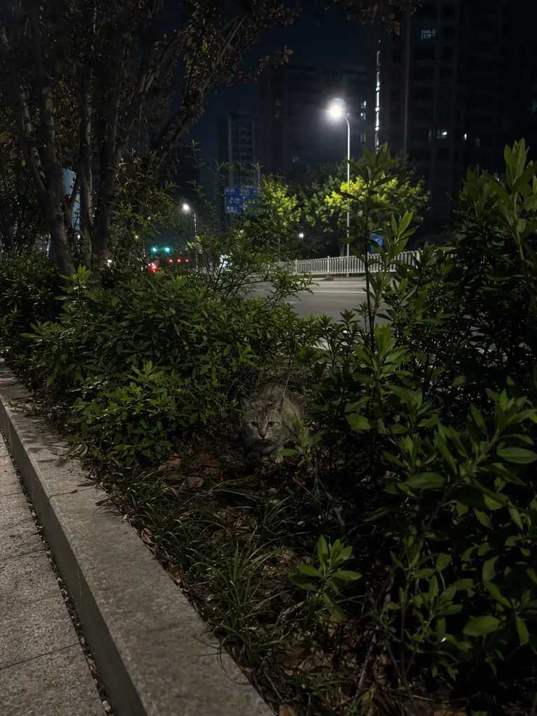 甜甜的报恩｜图片节点 2