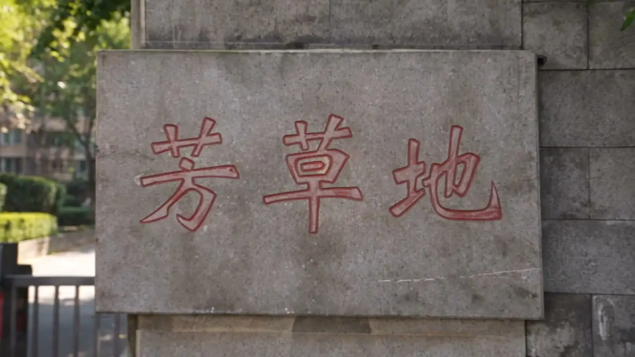 《牛窝坑之子之逃离“牛窝坑”》｜视频节点 4
