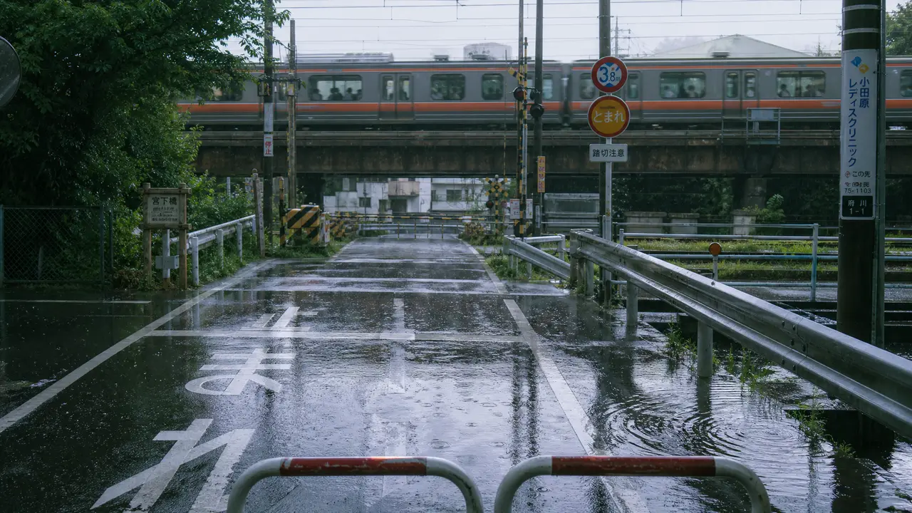 雨声会替我记得你｜图片节点 5