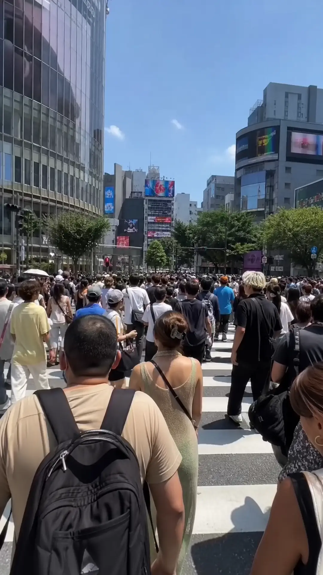 底片不会说谎｜S-A 涩谷十字路口