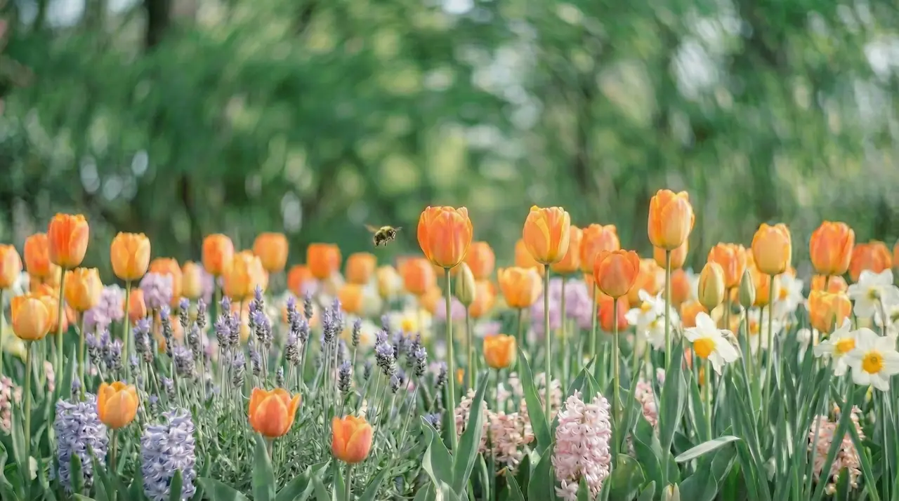 全AI鬼畜广告｜骗你是丑“bee”｜图片节点 2