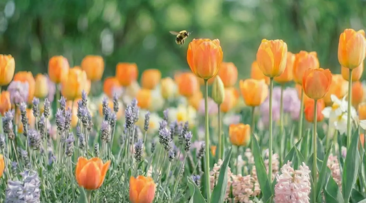 全AI鬼畜广告｜骗你是丑“bee”｜视频节点 12