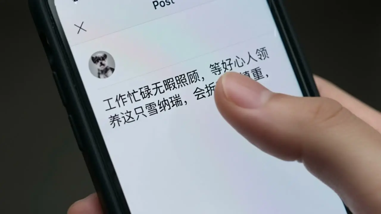 《我不是坏狗狗》｜视频节点 7