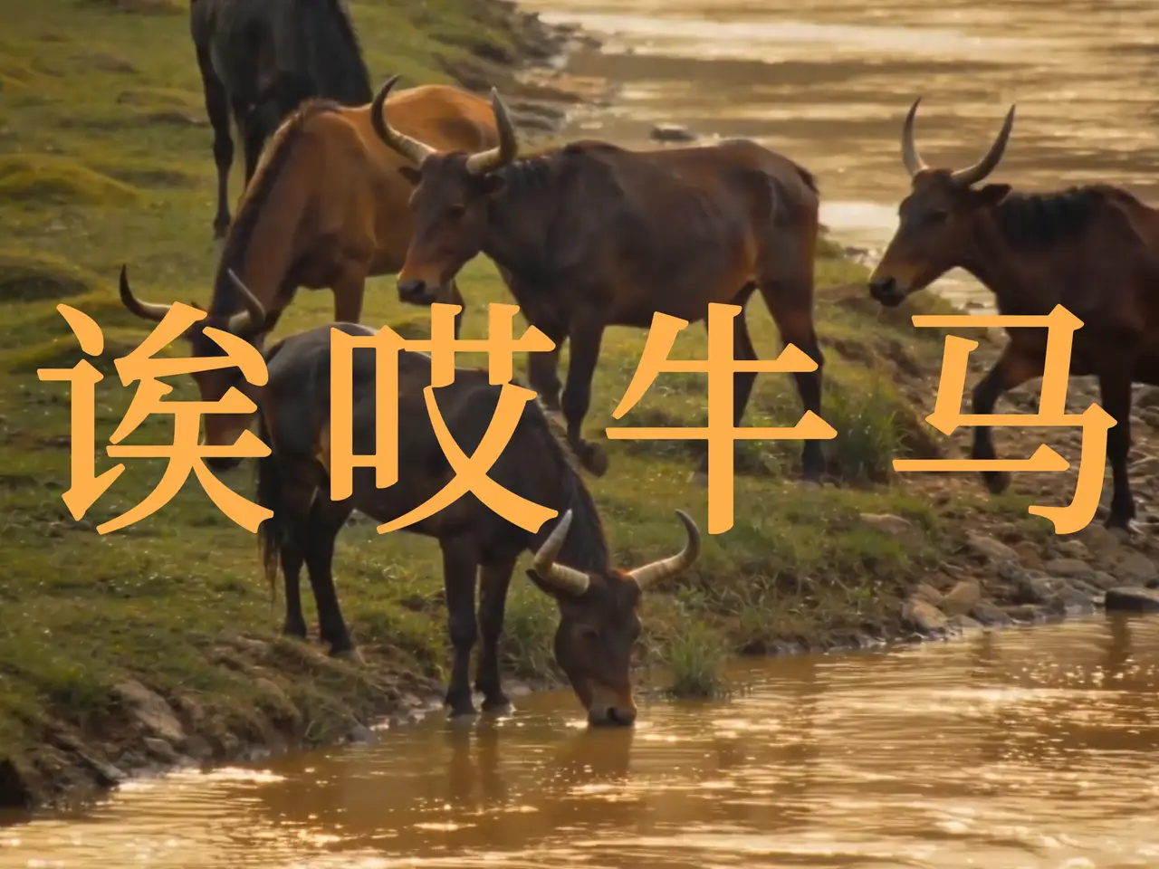 牛马的故事