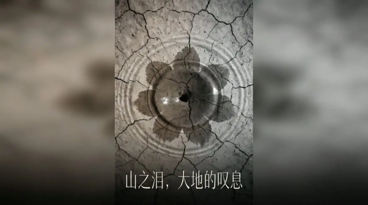 《山之泪》保护自然节约用水公益广告｜分镜视频-#6
