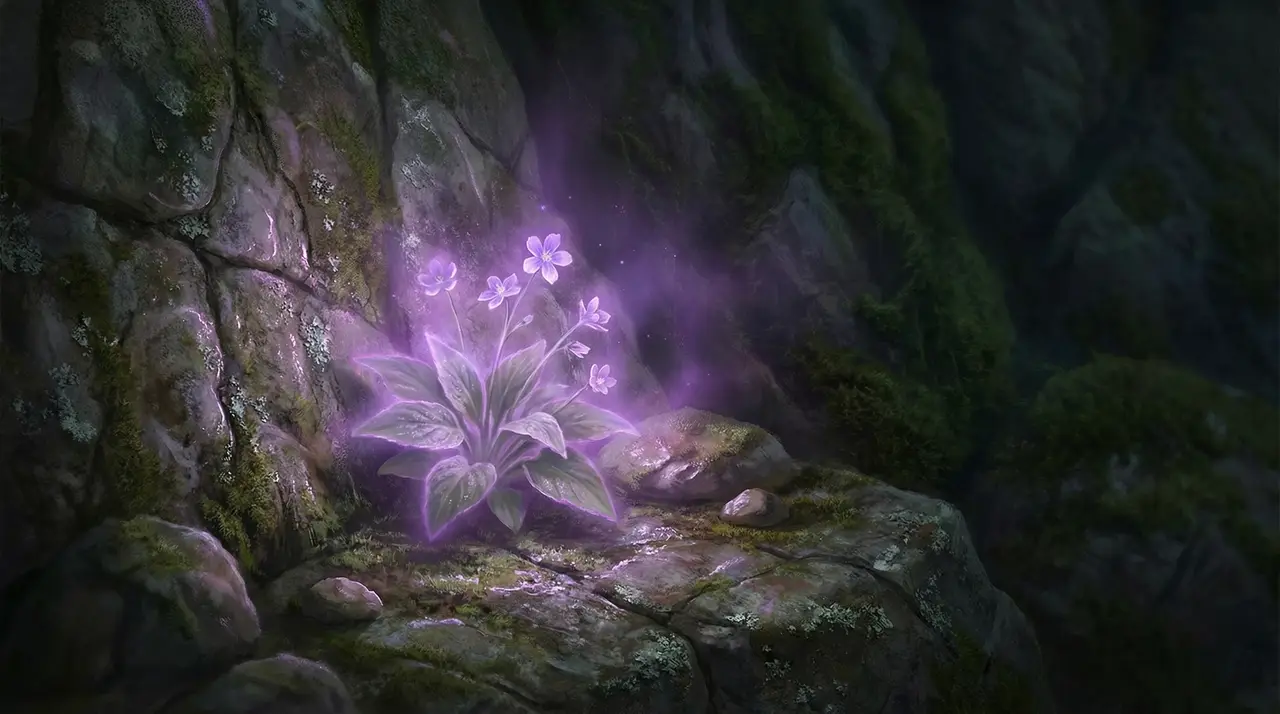 神灵志·森林回响｜图片节点 3