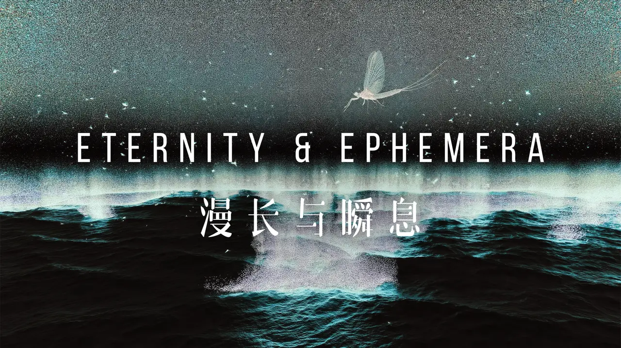 漫长与瞬息Eternity & Ephemera