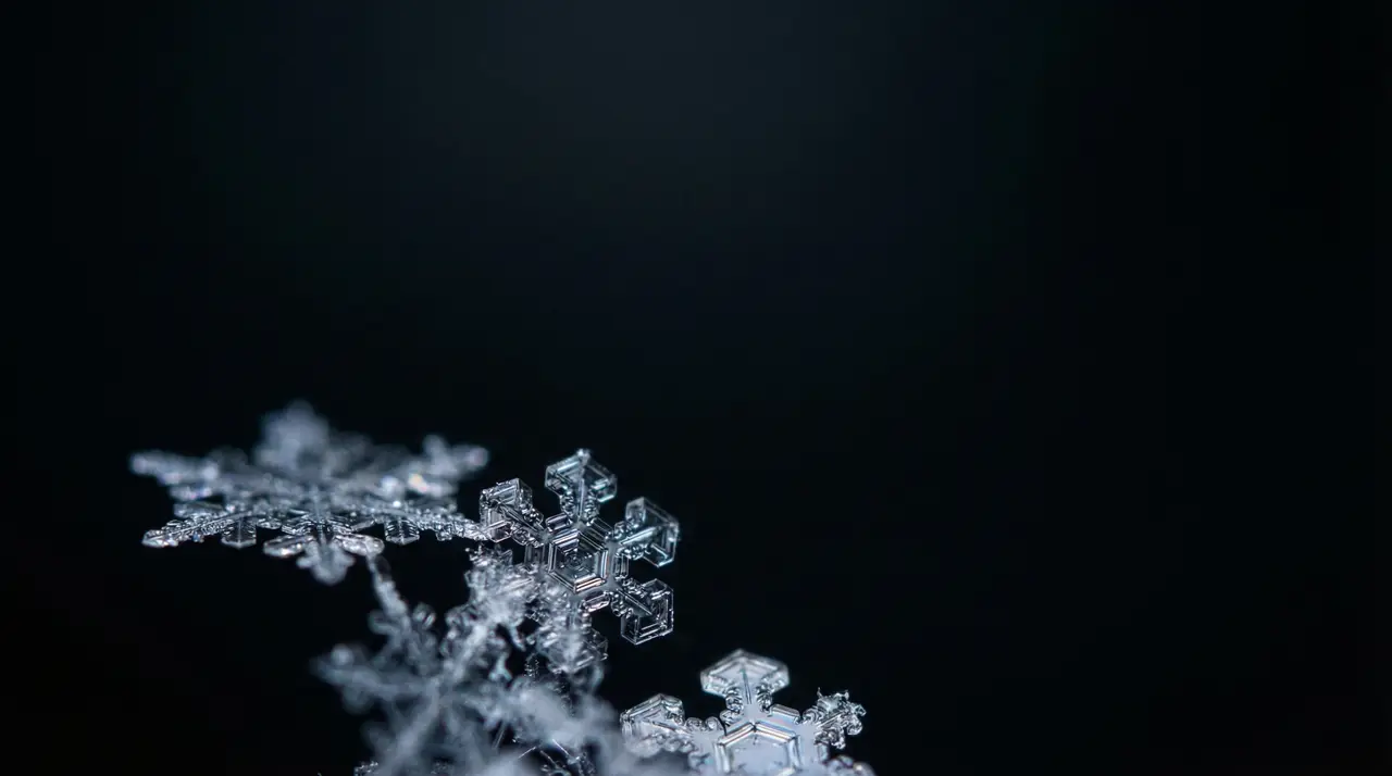 松间雪影香薰蜡烛|分镜 #1
