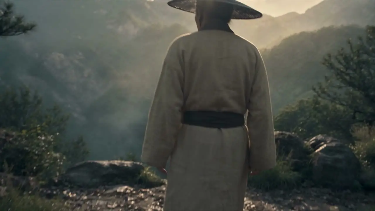 《八大山人》｜视频节点 3 - 副本
