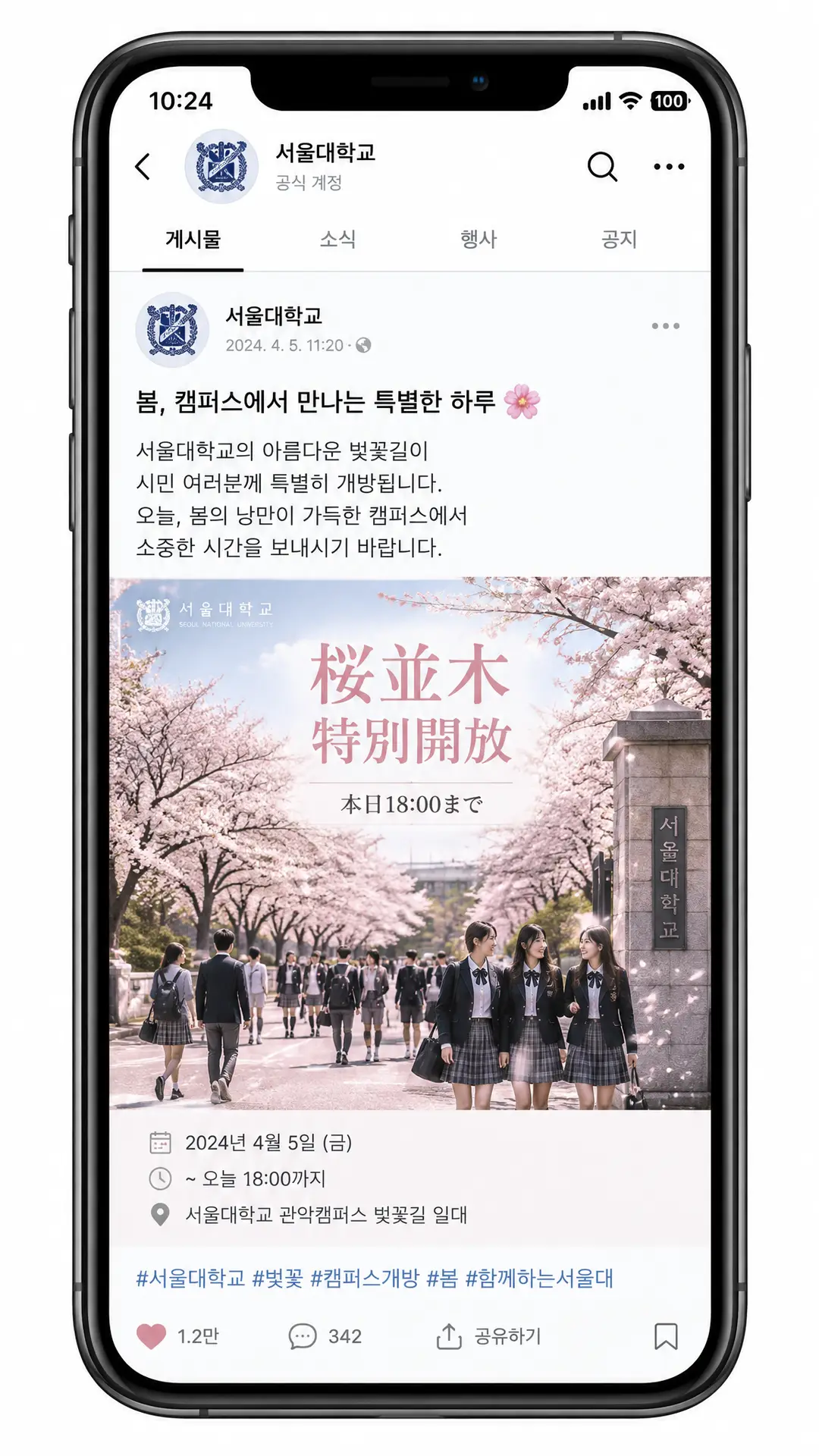 距樱花盛开还有420米｜图片节点 14