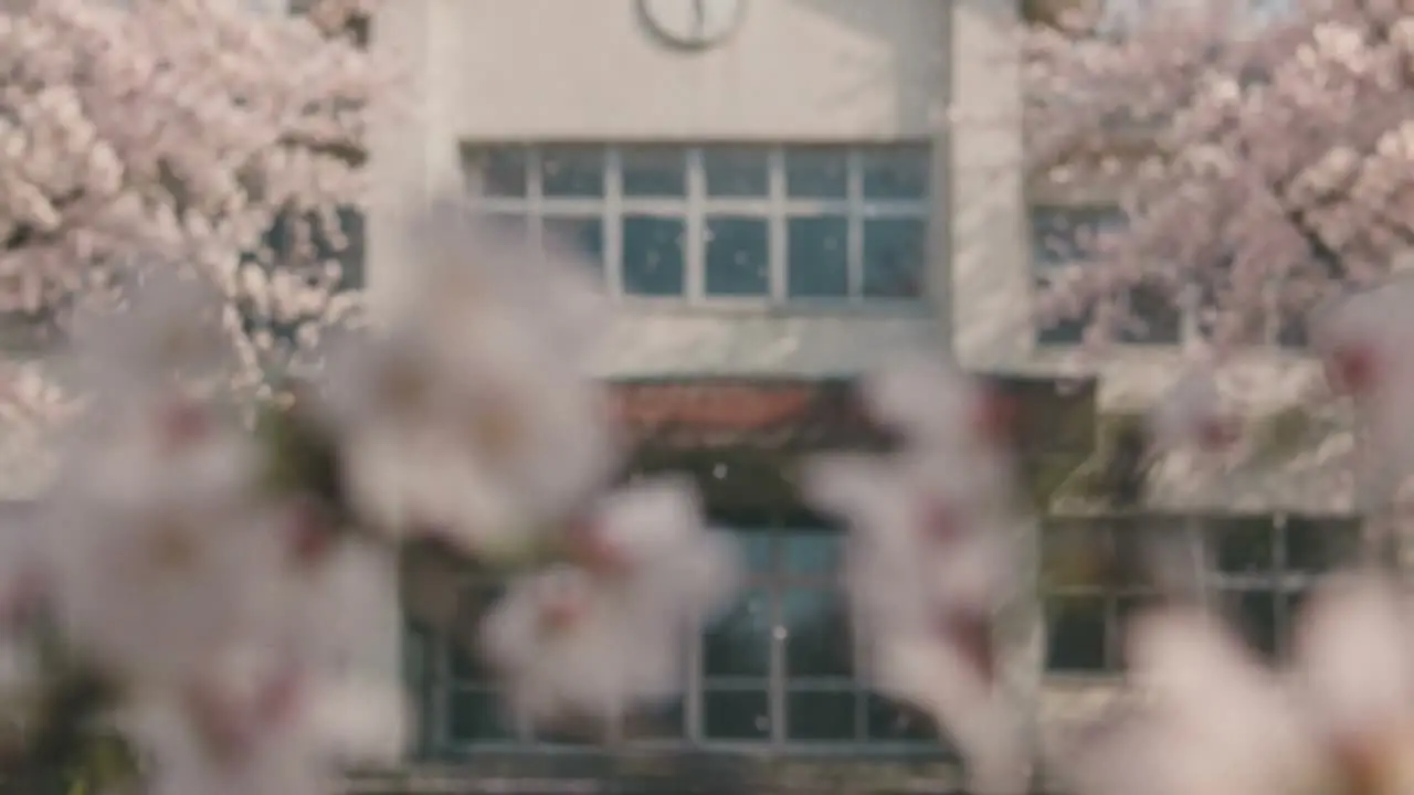 牛来的春天｜视频节点 1 - 副本