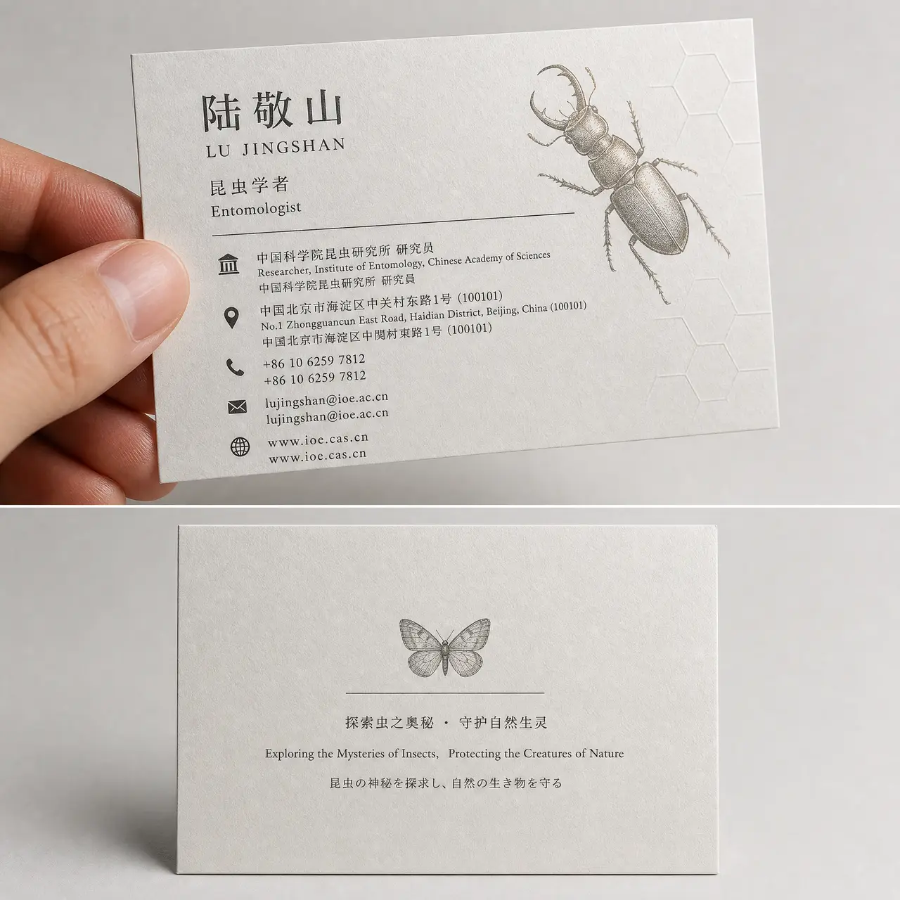 虫村第二集｜图片节点 4