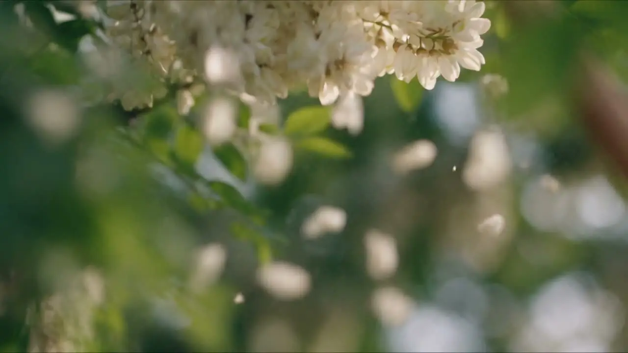 《故乡·童年》音乐版｜视频节点 15