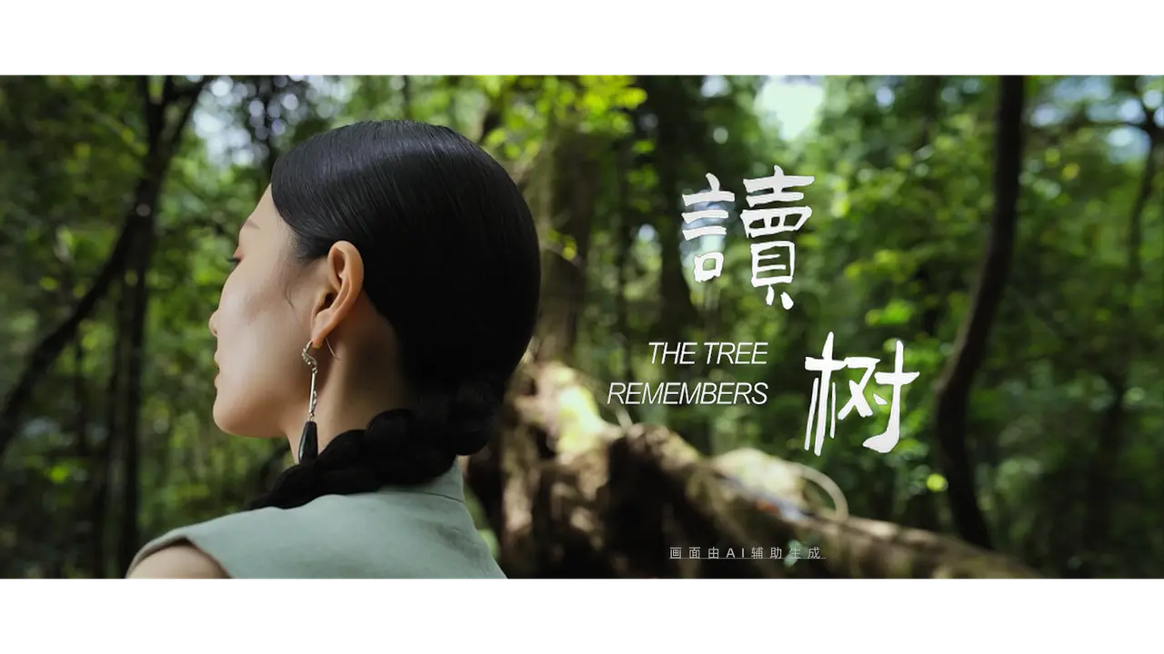 云南古茶|讀树|The Tree Remembers