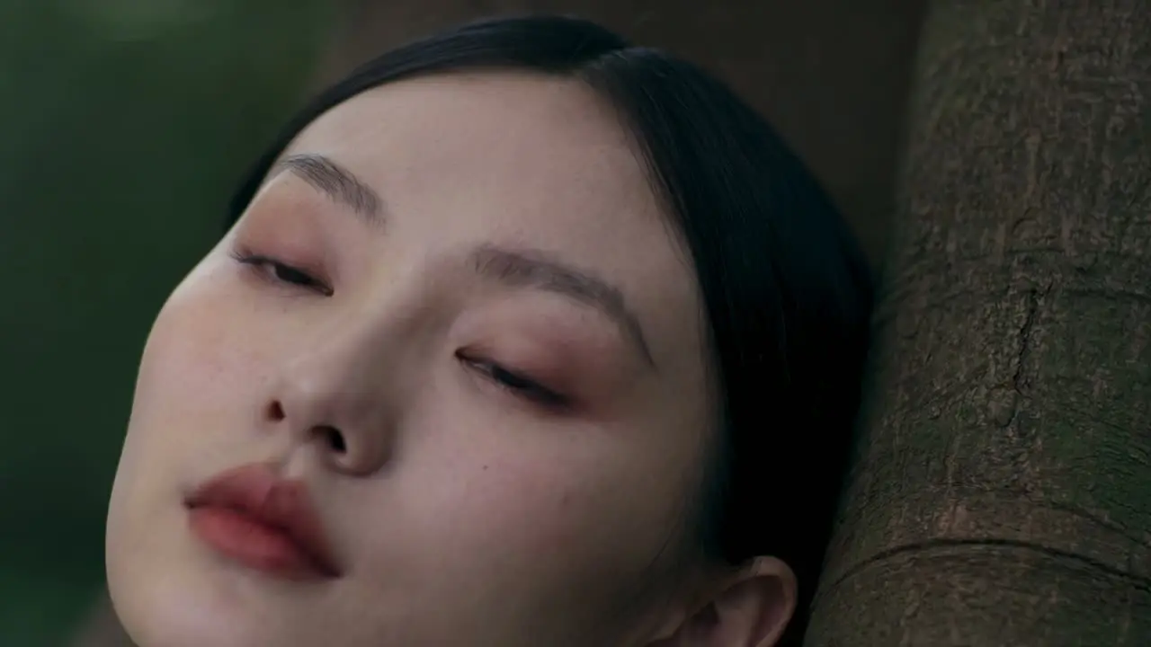云南古茶|讀树|The Tree Remembers｜清醒起身 - 副本