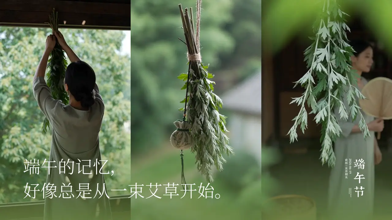 端午的记忆,从一束艾草开始