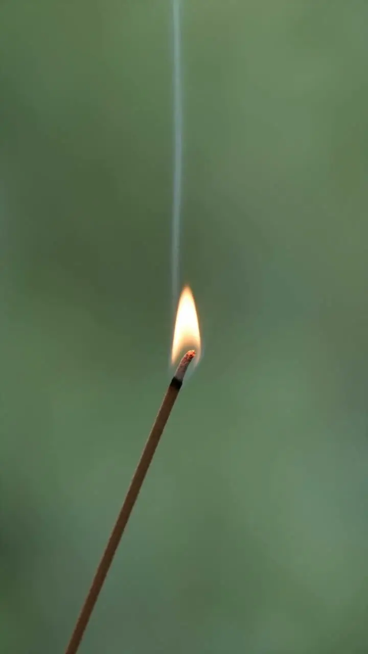端午的记忆，从一束艾草开始｜视频节点 5