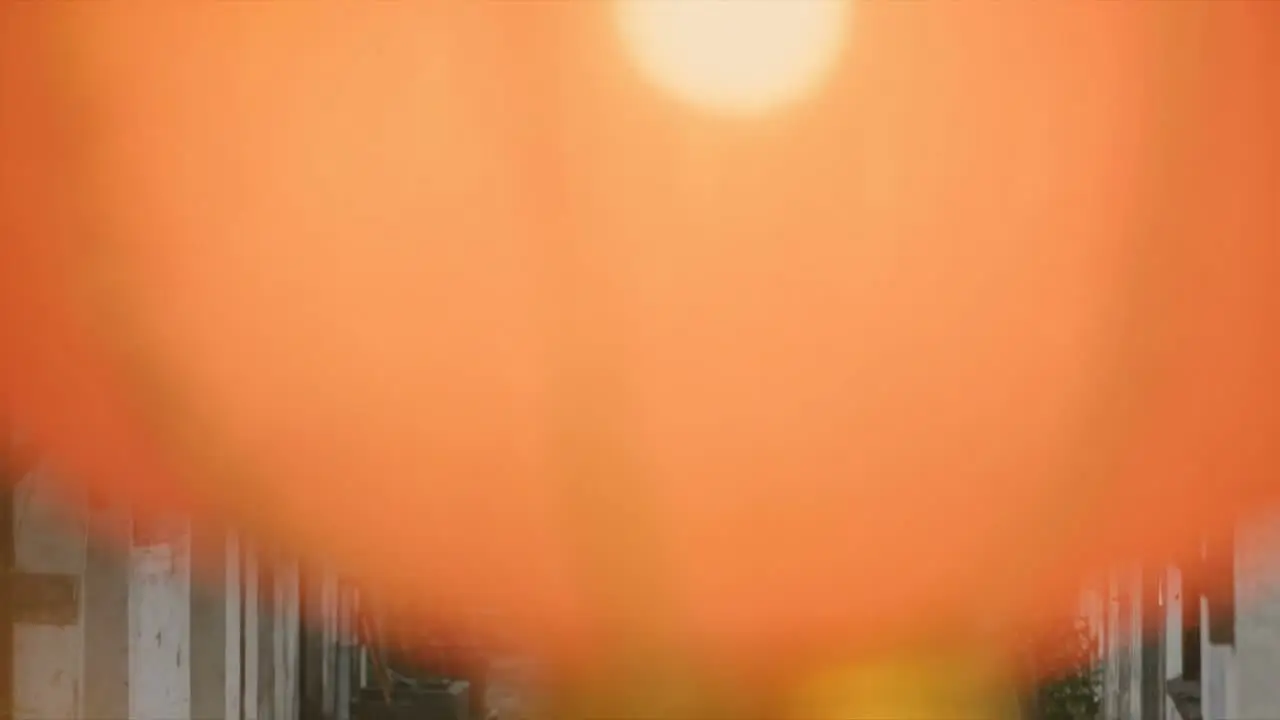 你的面容｜视频节点 1 - 副本