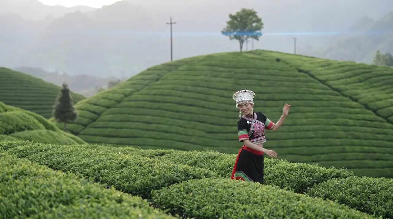 《茶舞》｜图片节点 2 - 副本