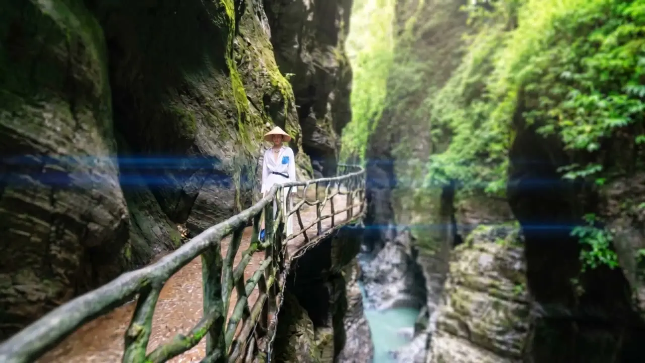 《茶舞》｜视频节点 17