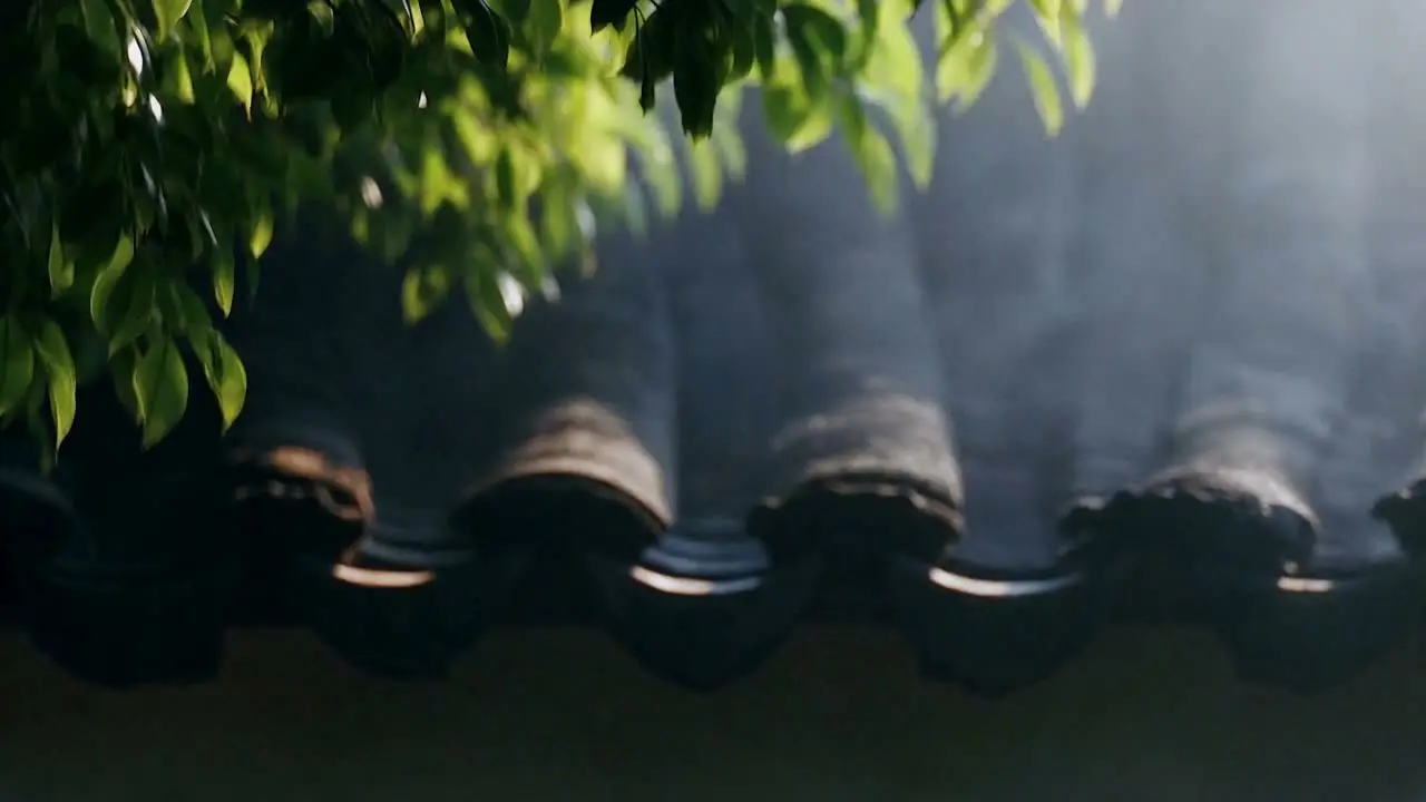 Arovia 守行｜潮绣灵鹿车香挂｜视频节点 15