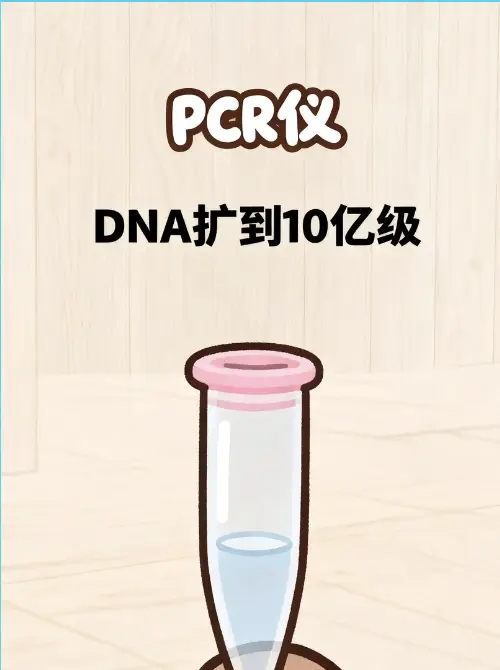 布布一二的小实验室之PCR仪