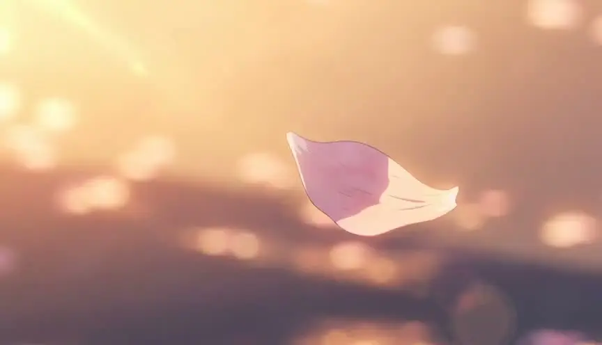 错位的时针  第一集｜SC-03.5 过渡空镜-世界A转B落花