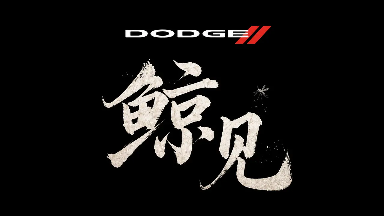 鲸见｜图片节点 4
