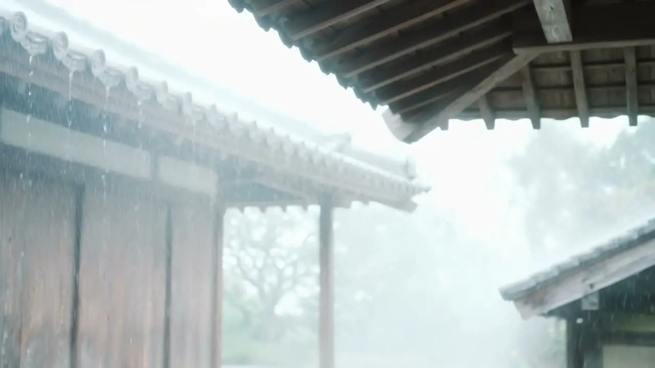 季风过境时-气泡水广告｜视频节点 2
