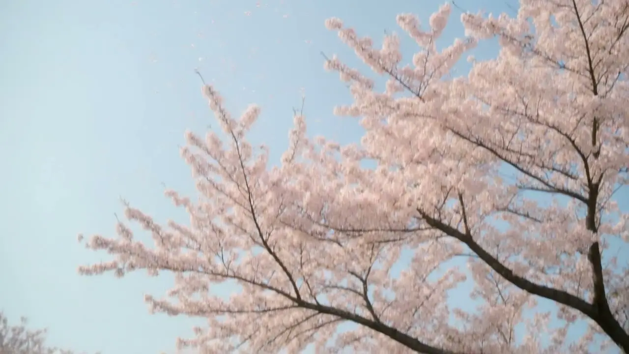 季风过境时-气泡水广告｜视频节点 4