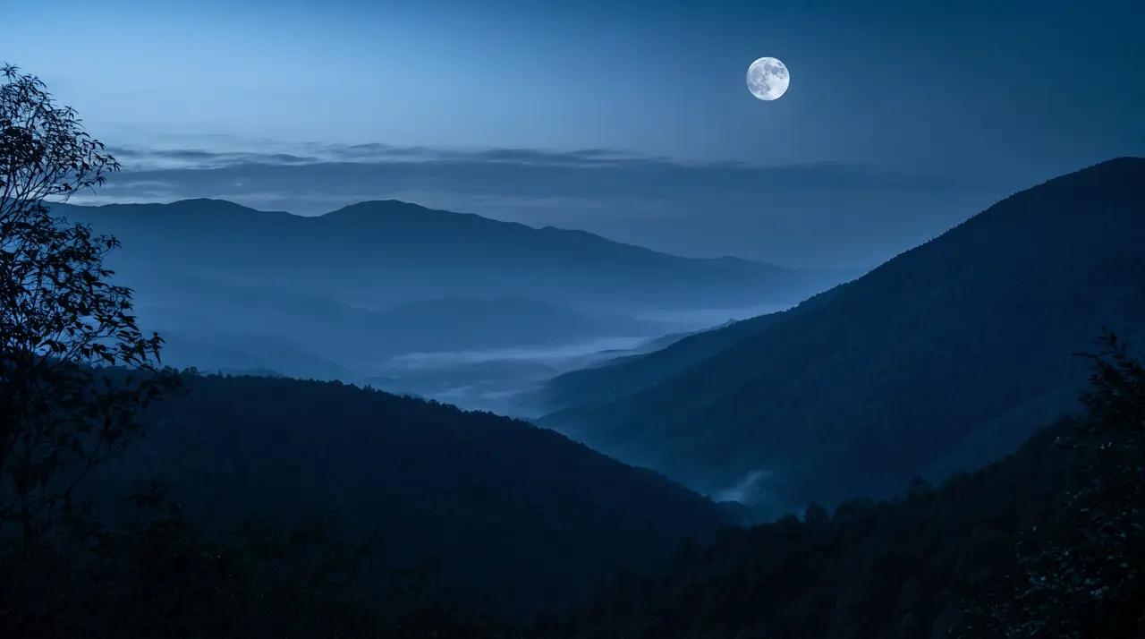 山月入席|黄精双味糕点礼盒|16:9|M01|月下重山|2K底人工确认母图
