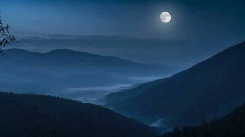 山月入席｜黄精双味糕点礼盒｜16:9｜M01D采用音频