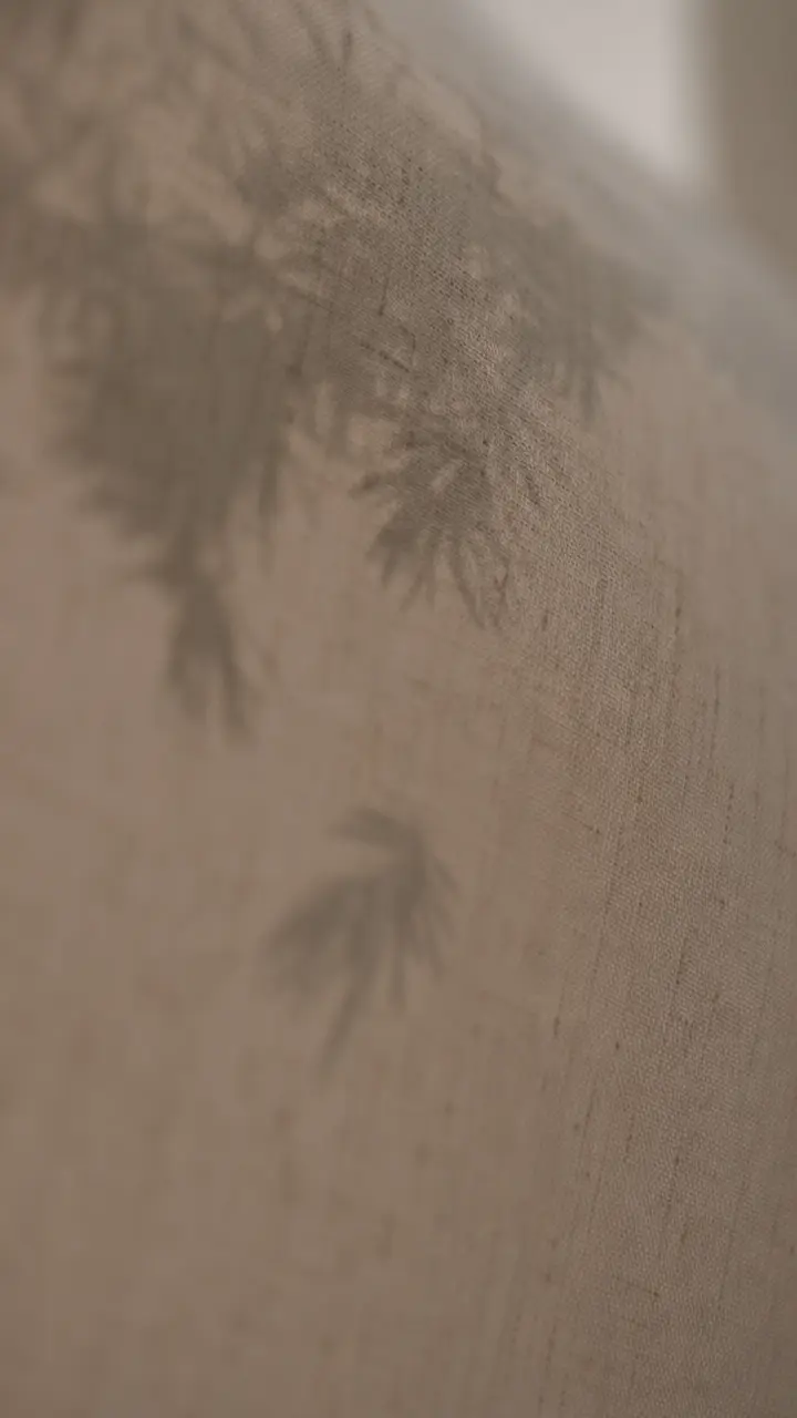 替换对标视频香水操作-《情绪系列-半日闲香水》｜图片节点 11
