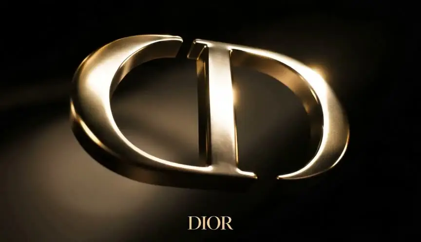 《暗金漫游｜DIOR Groove Hobo Bag》｜视频节点 6