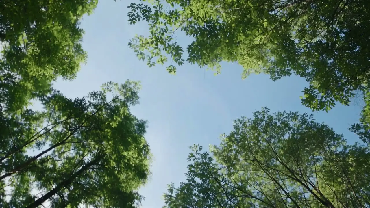 户外运动手环｜视频节点 2 - 副本